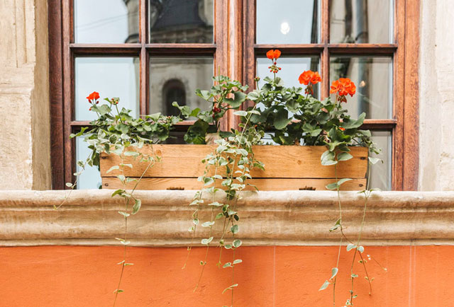 Denkmalschutzfenster – Werte bewahren und Auflagen einhalten